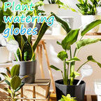 20 PCS Clear Plant Watering Globes, Plastic Watering Bulbs, Self Watering - Image 5