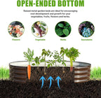 SnugNiture 6x3x1ft Raised Garden Bed Kit, Outdoor Oval Metal Garden Planter - Image 4