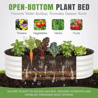 INNO STAGE 3Pcs Galvanized Raised Garden Bed Kit, Outdoor Metal Raised Garden - Image 8