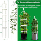 Garden Trellis for Climbing Plants, Rustproof Metal Pipe - Image 3