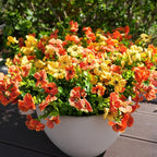 Artificial Flowers for Outdoor, UV Resistant Fake Silk Flowers, Realistic Faux - Image 6