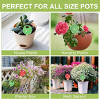 4-Pack Terracotta Self-Watering Spikes | Eco-Friendly Iron-Rich Clay Olla - Image 5