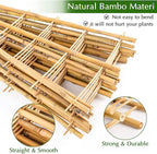 Bamboo Trellis - Image 3