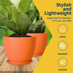 Yellow Plant Pots with Drainage Holes & Saucers 20 Pack, Indoor & Outdoor - Image 2