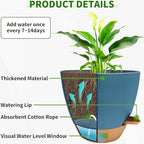 12/10/9/8 inch Self Watering Pots - Image 3