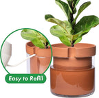 Phoenix Vine 10 Inch Self Watering Planter Pot, Terracotta Clay Pot - Image 4