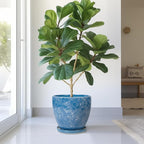 Ceramic Flower Pot - Image 4