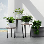 Plant Stand Indoor Tall: Corner Wood Plant Stand 2 Pack Mid Century Modern Decor - Image 7