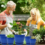 Plant Pots Indoor with Saucers & Drainage - Image 2