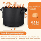 Gardzen 6-Pack 1 Gallon Grow Bags, Aeration Fabric Pots - Image 7