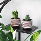 Mini Succulent Planter Set – 3.7 Inch Ceramic Pots - Image 5