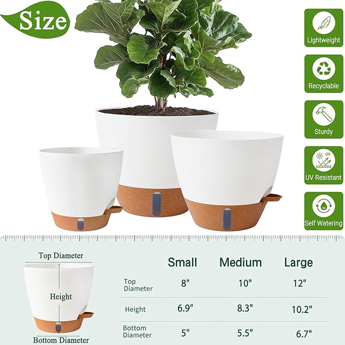 8/10/12 Inch Self Watering Pots - Image 3