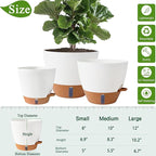 8/10/12 Inch Self Watering Pots - Image 3
