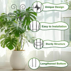 Coomin 32.6in Monstera Plant Support - Image 3