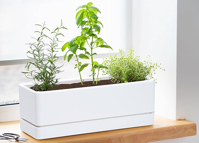 D'vine Dev 12 Inch Window Box Planter, Rectangle Plastic Herb Planter - Image 2