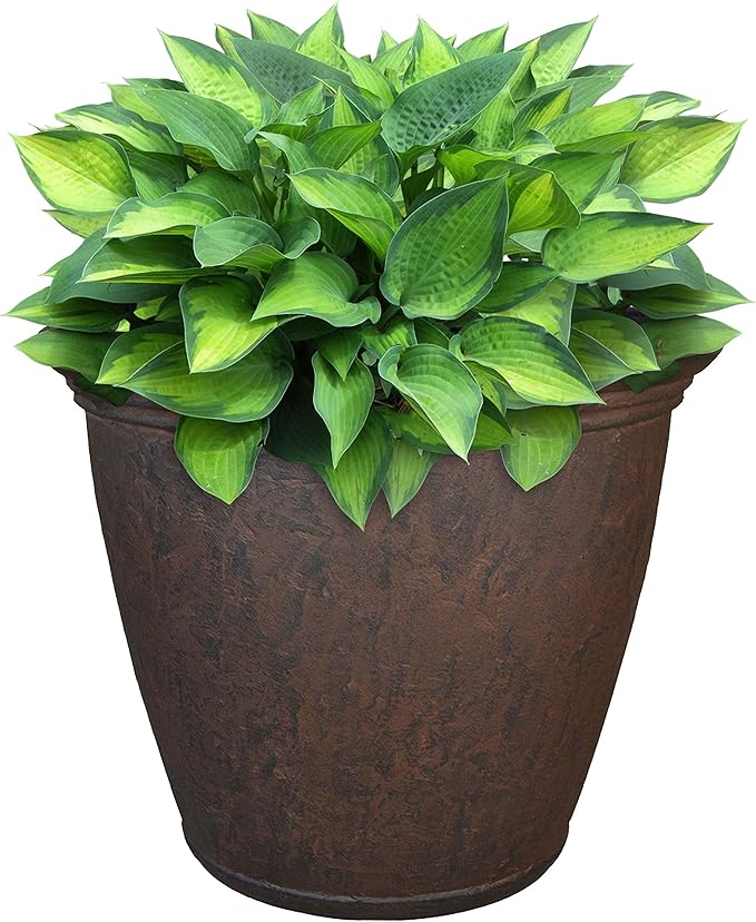Sunnydaze 15.25-Inch Anjelica Large Plastic Pot by SunnydazeDecor