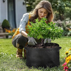 T4U Fabric Plant Grow Bags - Image 8