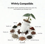 10 Pack 3 Inch Self Watering Pots - Image 4