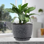 12 inch Big Plant Pots, Plastic Planters - Image 5