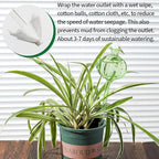 Self Watering Planter Insert. Plant Watering Devices. 3-Pack Cactus Plant - Image 5