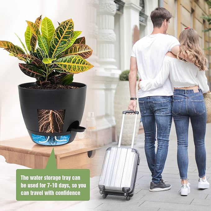 Large Self Watering Pots, 12/10/9 Plastic Planters - Image 7