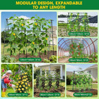 Cucumber Trellis, Metal Garden Trellis - Image 5