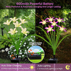 Solar Garden Lights New Upgraded Solar Wild Lily Flower Lights, Yard Patio - Image 4