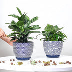 Selamica Ceramica Plant Pots, 6.5 Inch Flower Pots Set of 2 - Image 2