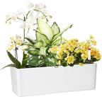GardenBasix Elongated Self Watering Planter Pots Window Box 5.5 x 16 inch by GardenBasix