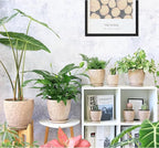 10inch Retro Ceramic Planter - Image 6