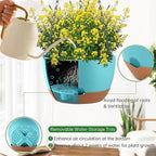Hanging Planters for Indoor Plants - Image 4