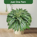2 Pack Large 88 Leaves Artificial Ferns - Image 4