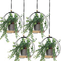Geelin 4 Pack Plant Hanger by Geelin