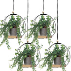 Geelin 4 Pack Plant Hanger by Geelin