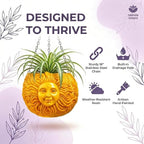 Fun & Unique Sun Face Hanging Planter Quirky Celestial Decor - Image 2