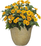 Classic Home and Garden Honeysuckle Resin Flower Pot Planter, Fossil Stone - Image 2