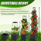 2 Packs Raised Garden Bed Tomato Planter Box - Image 5