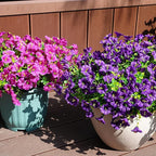 Artificial Flowers for Outdoors, UV Resistant Fake Silk Morning Glory, - Image 5