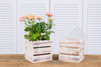 Wood Planter Box with Wine Crate Styled, 5 Inch Square, Plastic Liner, Garden - Image 5