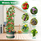 6 Pack Tomato Cages, 51.2in Tomato Plant Support Stakes Heavy-Duty, Garden - Image 7