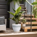 Ceramic Planter - Image 5