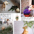 2 PCS Macrame Plant Hanger Indoor Hanging Plant Holder Hand-Woven Cotton Rope - Image 8