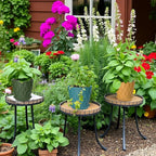 10 Pack 5 Inch Plant Pots with Drainage and Saucers, Stackable Nursery Planters - Image 6