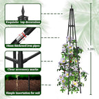 5.2FT Obelisk Trellis for Climbing Plants Outdoor, 16mm Rust-Proof Extra - Image 4