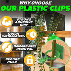 Plant Wall Clips for Climbing Plants 110 Pcs - Image 5