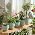 montresor 5 Pack Green 5/5.5/6/6.5/7 Inch Self Watering Planters - Image 9