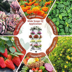 Vertical Strawberry Planter-5 Tier Stackable Herb Tower Planters Stacking - Image 7