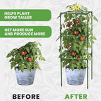 Tomato Cage Square - Image 5