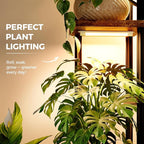 Bamworld Plant Shelf with Grow Light - Image 6