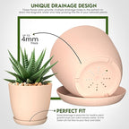 Utopia Home - Plant Pots with Drainage - 7/6.6/6/5.3/4.8 Inches Home Decor - Image 3